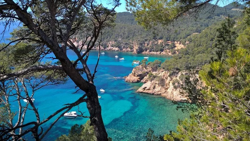 T1 Bandol Renecros 3 Etoiles A 2 Pas De La Plus Belle Plage