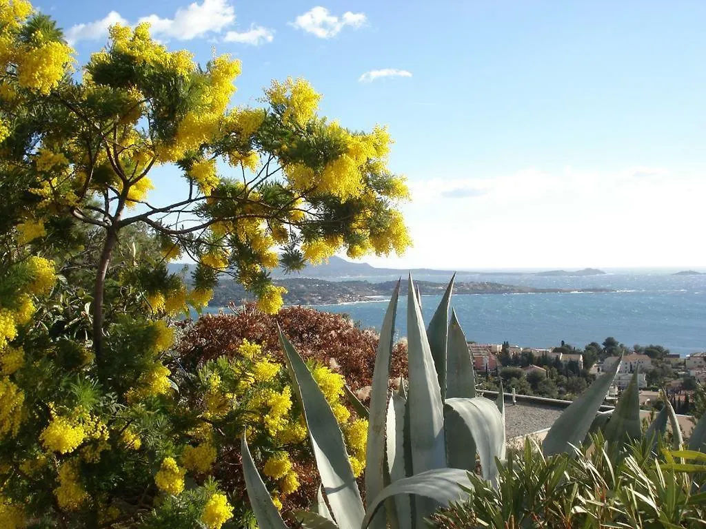 T1 Bandol Renecros 3 Etoiles A 2 Pas De La Plus Belle Plage 0*,